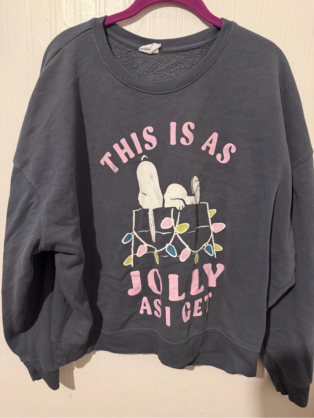 Peanuts Charcoal Crewneck Sweatshirt with Pink Graphic Women’s XL